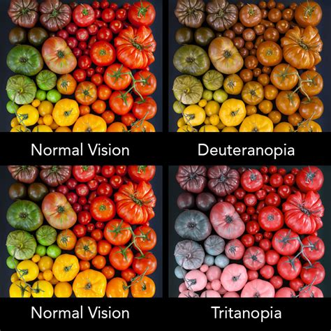 Color Blindness Designing Through A Different Set Of Eyes