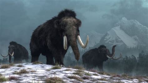 Russian Mammoths Archives Nerdist