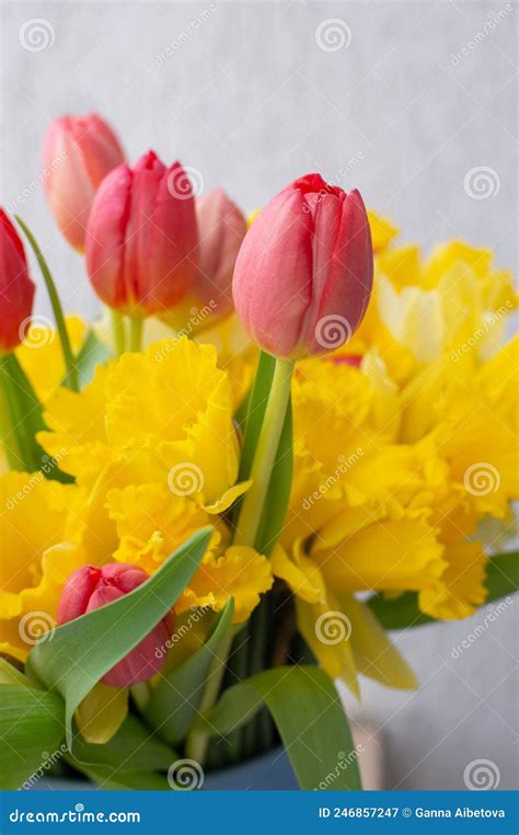 Tulipanes Rojos Y Narcisos Amarillos En Un Bello Ramo Primaveral Ramo