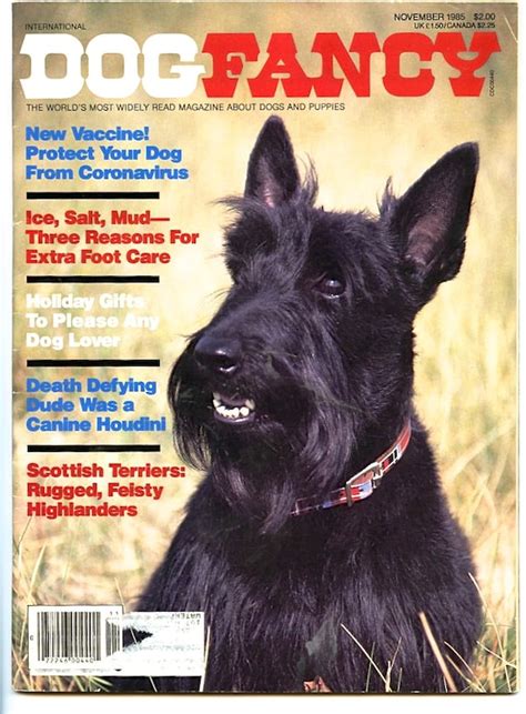 Dog Fancy Vintage Magazine Back Issue By Sunshinevintagephoto