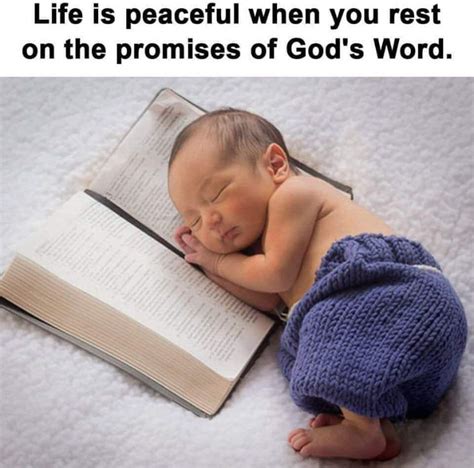 Rest On The Promise Of Gods Words