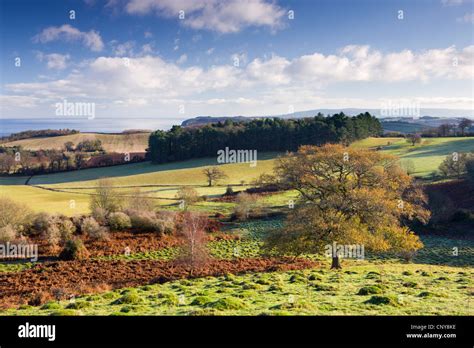 Looking Eastwards From Dunster Park Exmoor National Park Somerset