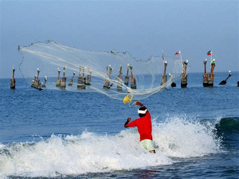 Separate Central Ministry For Fisheries Fishermen Demanded Oneindia News
