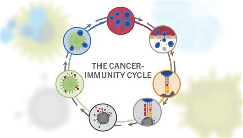 Genentech The Cancer Immunity Cycle