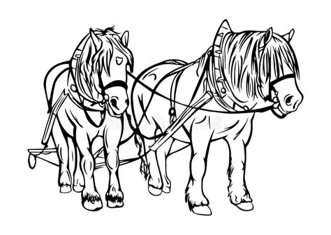 Draft Horse Vector Drawing ~ Stock Vector Illustration Of Farm Horse