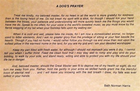 It's a message of a dog to his owner. A Dog's Prayer | Stuff to think about (dogs) | Pinterest