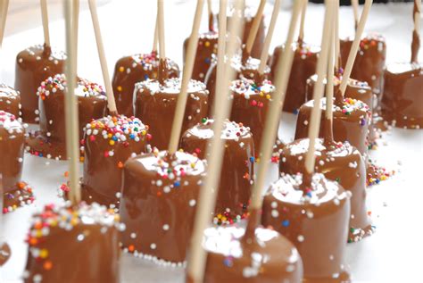 Chocolate Dipped Marshmallows Best Stirring Sticks For Your Hot Cocoa