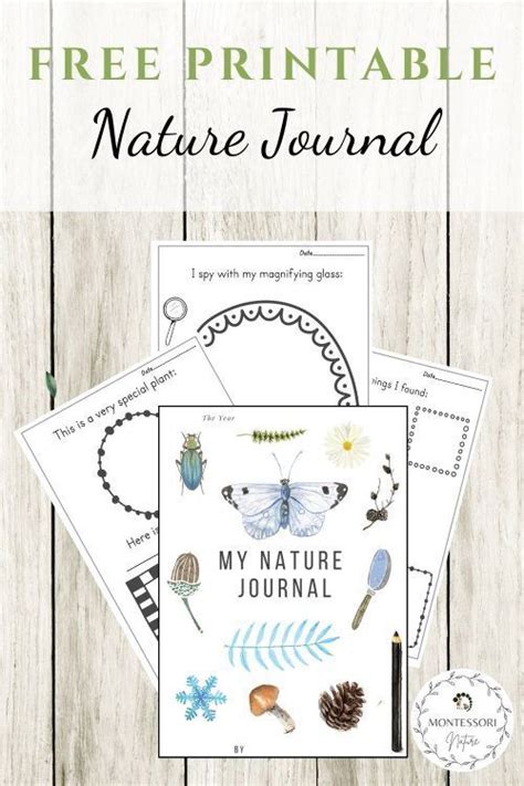 Nature Journal Free Printable Nature School Homeschool Nature