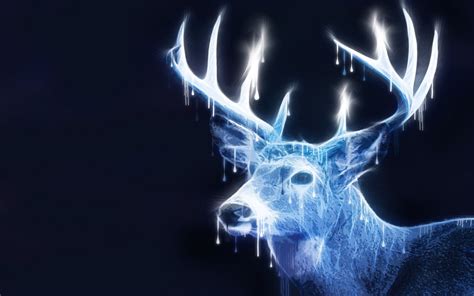 Deer Hd Wallpaper Background Image 2560x1600 Id884831