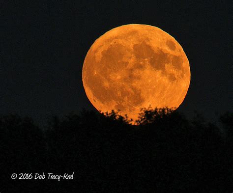 Harvest Moon Full Moon Over The South Meadows Deborah Kral Flickr