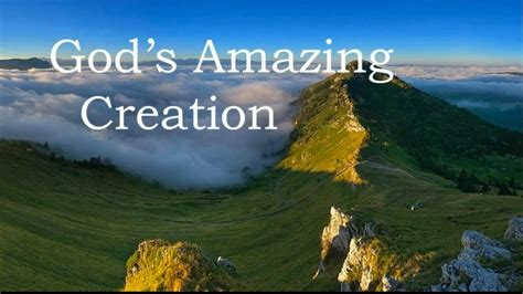 Gods Amazing Creation Youtube
