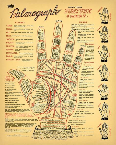 Vintage Palmistry Chart Sizes Fortune Telling Cheiromancy Occult Palm Reading Tarot