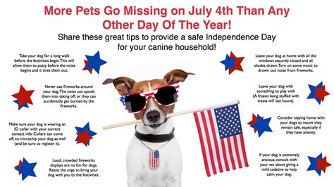 4th Of July Pet Safety Tips Vvng