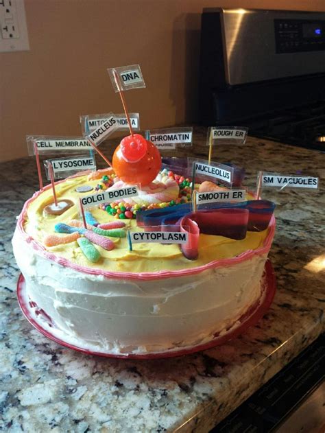 Maybe you would like to learn more about one of these? 13 best edible cell projects images on Pinterest | Cell ...