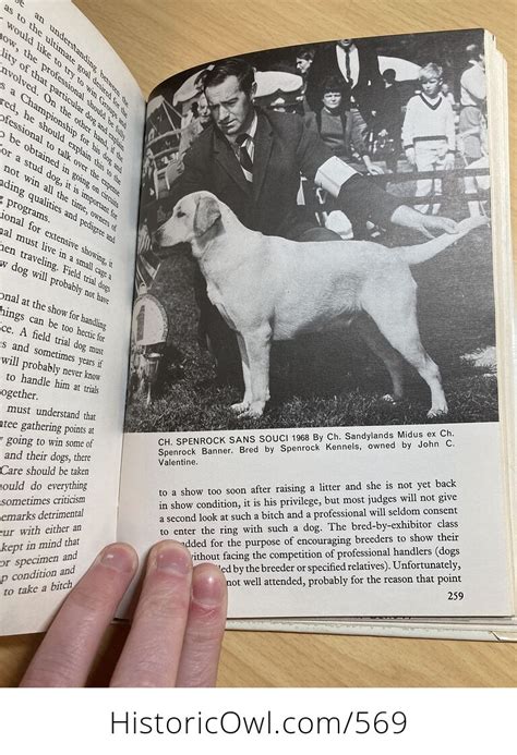 This Is The Labrador Retriever Book By Dorothy Howe C1972 Wei0tjimyz4