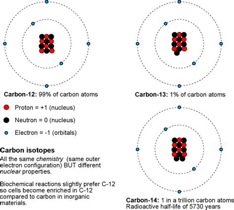 Commonly Used Isotopes In Radiometric Dating Telegraph