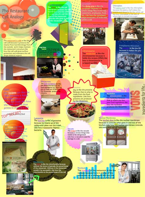 1a) i'm comparing the animal cell to a restaurant. Blog Archives - Ms. Wilson's Biology Class