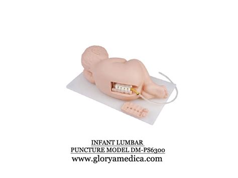 Jual Infant Lumbar Puncture Model