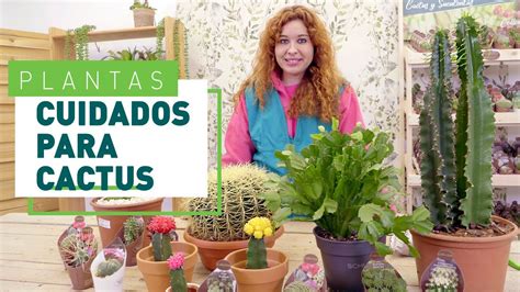 Cactus Tipos Cuidados Y Trucos Plantas En Verdecora Youtube