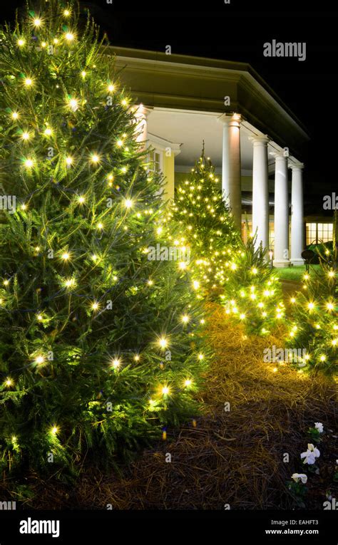 Outdoor Christmas Trees Have Been Decorated With White Lights And Shot