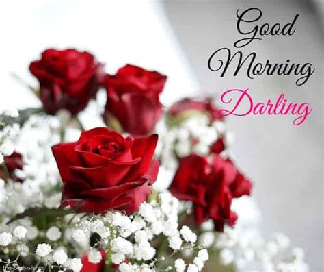 Good morning darling. the feeling of waking up beside you every day is priceless. 101+ Good Morning Darling Pictures  Best Collection 
