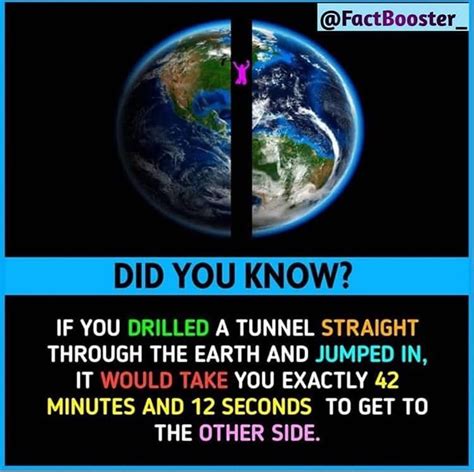 Pin By Sherrielady On Wtf Fun Facts Fun Facts About Earth Facts