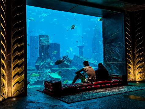 The Lost Chambers Aquarium Im Atlantis The Palm Dubai Hotel