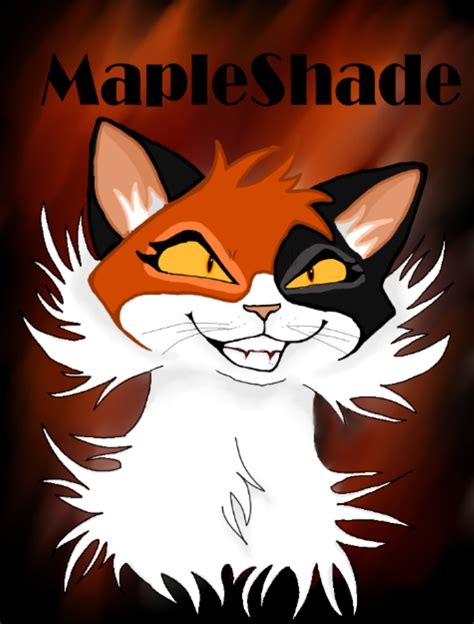 Mapleshade - evil or misunderstood? | Warrior Cats