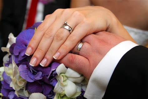Wedding Rings On Bride And Groom Hands Stock Photo Image Of Groom