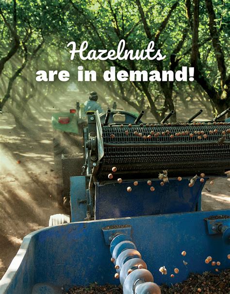 Home Bc Hazelnut Growers Association