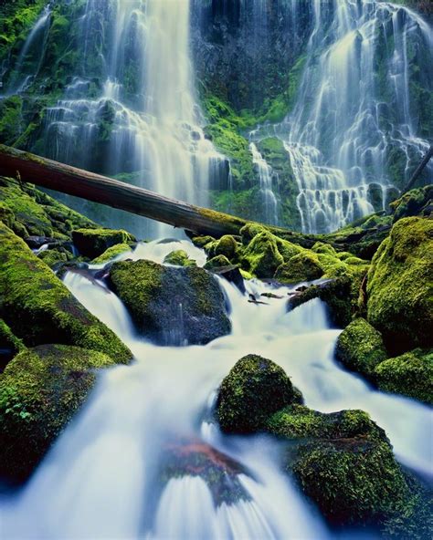 Top 10 Oregon Waterfall Hikes Oregon Waterfalls Waterfall