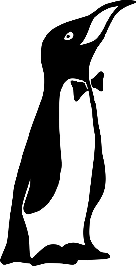Penguin Clipart Silhouette Penguin Silhouette Transparent Free For