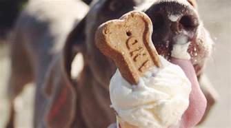 This local ice cream shop has a flavour just for dogs | Daily Hive