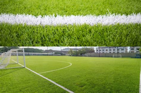Artificial Grass Vs Turf What Are The Differences