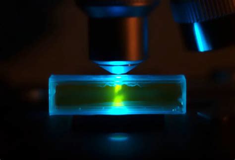 Microscop A De Fluorescencia Datos Importantes Que Debe Saber
