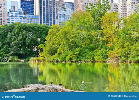 Central Park In New York City In Autumn Stock Image Image Of Central