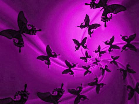 Free Download News Butterfly Purple Butterfly Wallpaper 1024x768 For