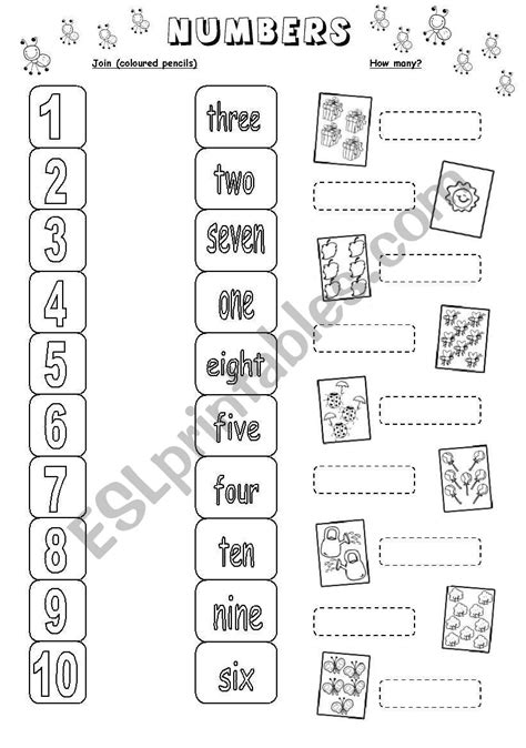 Numbers Vocabulary Esl Printable Picture Dictionary For Kids Lets