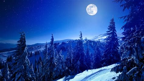 1366x768 Full Moon Over Winter Forest 1366x768 Resolution Wallpaper Hd Nature 4k Wallpapers