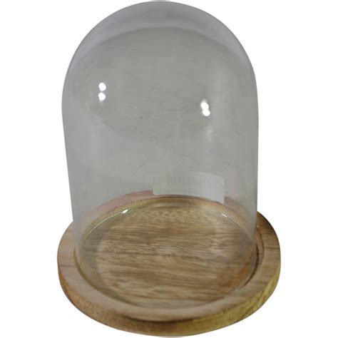 Glass Dome Wwooden Base S Dia 125×155cm Best Sellers