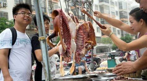 Esta Ciudad China Ahora Prohíbe Comer Perros Y Gatos Tiempo