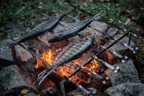 Campfire Cooking Pictures Download Free Images On Unsplash