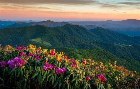 Wallpaper Sunset Mountains Panorama North Carolina