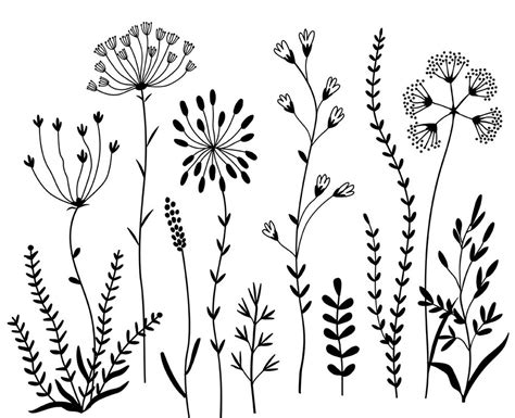 Wildflowers Clipart And Stamps Digital Clipart Clip Art Flowers