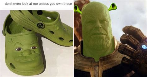 0 replies 1 retweet 2 likes. Get Shrekt: 25 Hilarious Shrek Memes Only True Fans Will ...