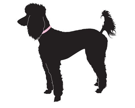 Silhouette Poodle Svg 1980 File Include Svg Png Eps Dxf Free Svg