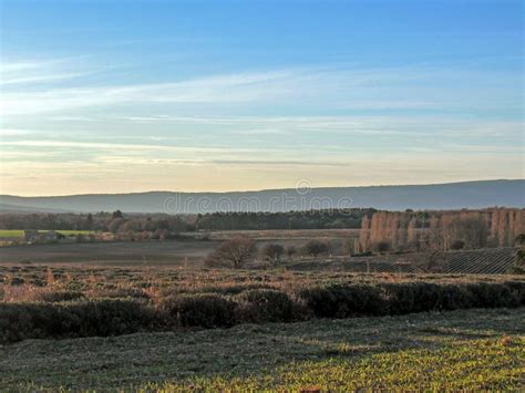 Provancal Countryside Landscape At Sunset Time In Winter Vaucluse