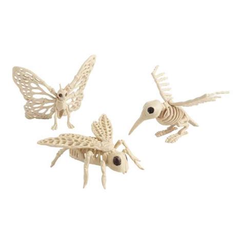 Winged Creature Skeleton Decor Set Of 3 With Images Skeleton
