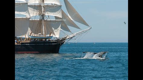 Voyaging In The Wake Of Whalers Behind The Scenes Of Maritime History At Mystic Seaport Youtube
