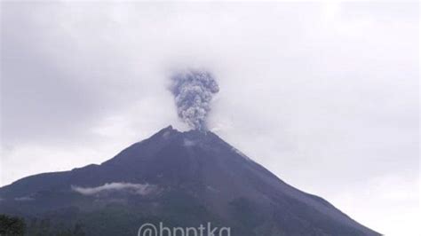 breaking news gunung merapi kembali erupsi luncurkan kolom abu setinggi 3000 meter ke arah